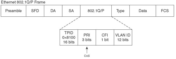 802.1q Frame 802.1q Frame